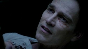 Vampire Bill Compton, played by Stephen Moyer.