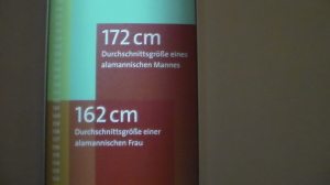 Grössenvergleiche und Zeitleisten an der Wand machen Geschichte erlebbar.